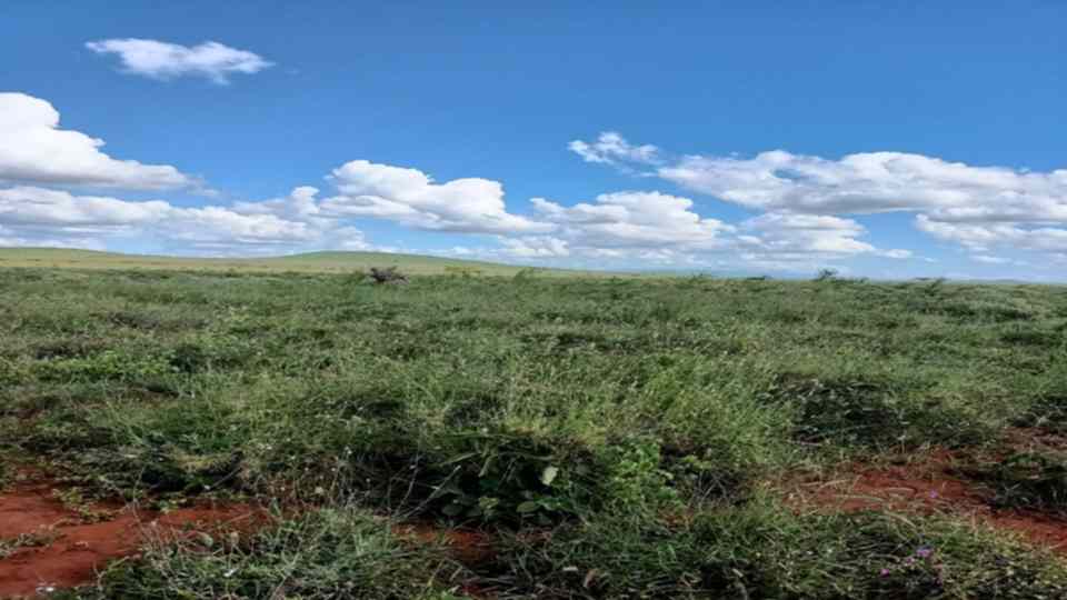 5 acre land for sale in Imbuko Loitoktok