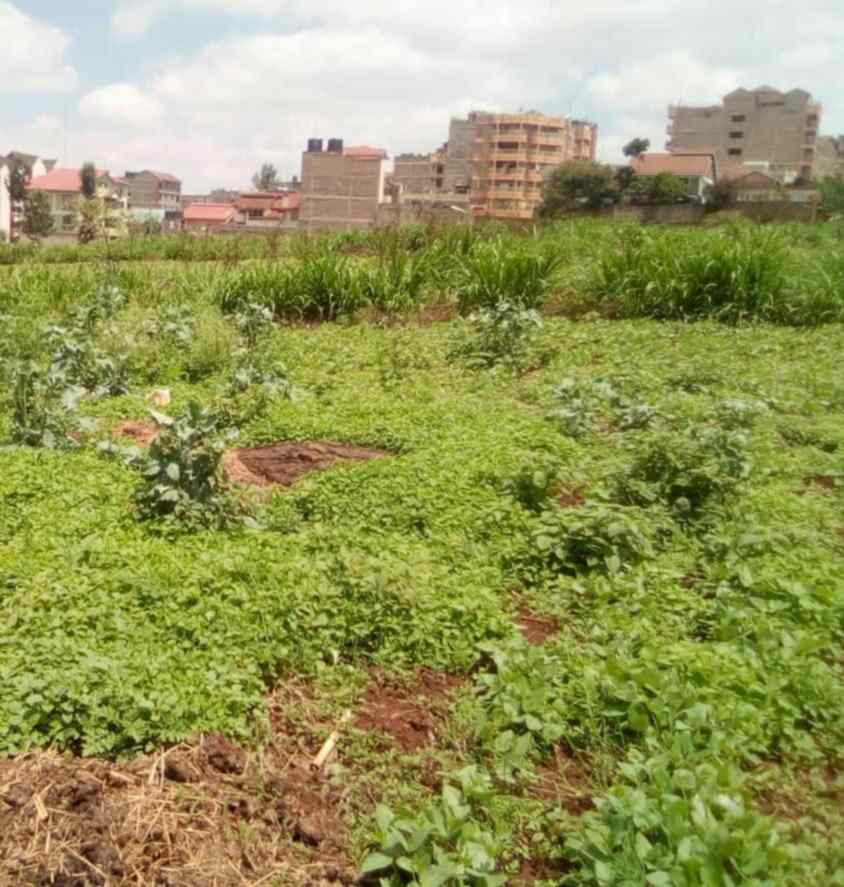 5 acre land for sale in Kasarani