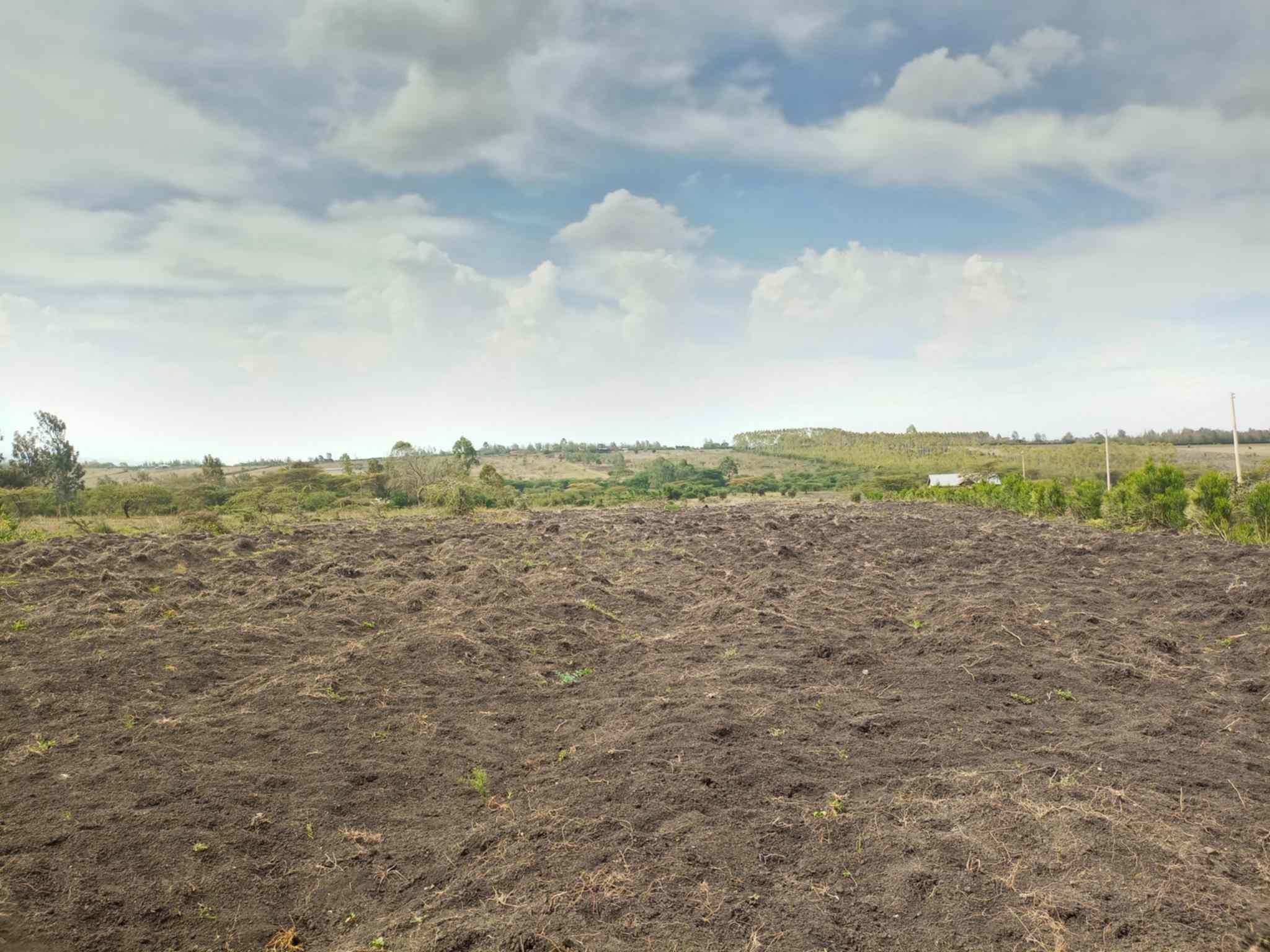 5 acre land for sale in Kiserian