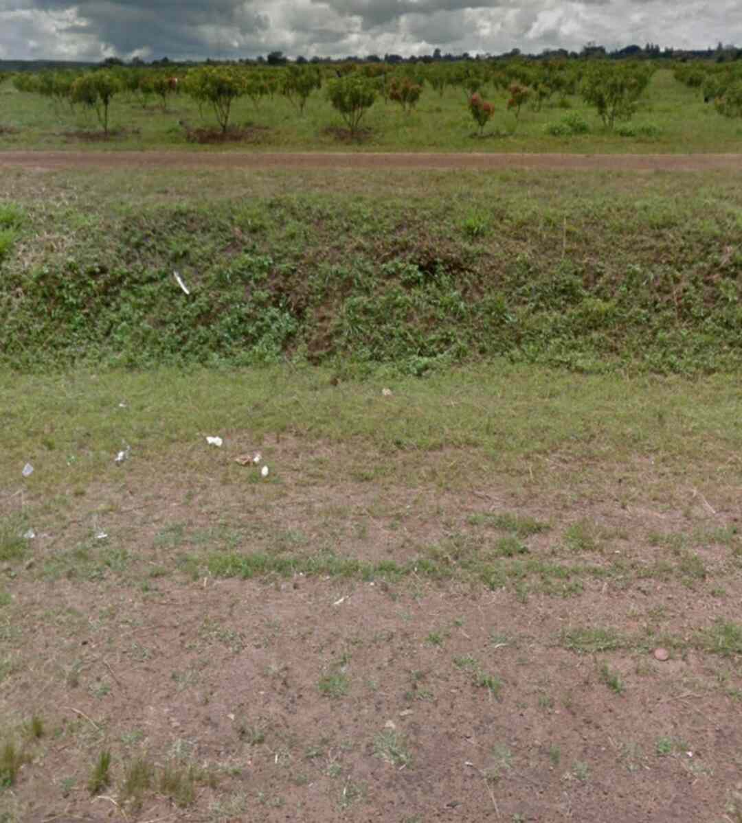 5 acre land for sale in Ngoliba town