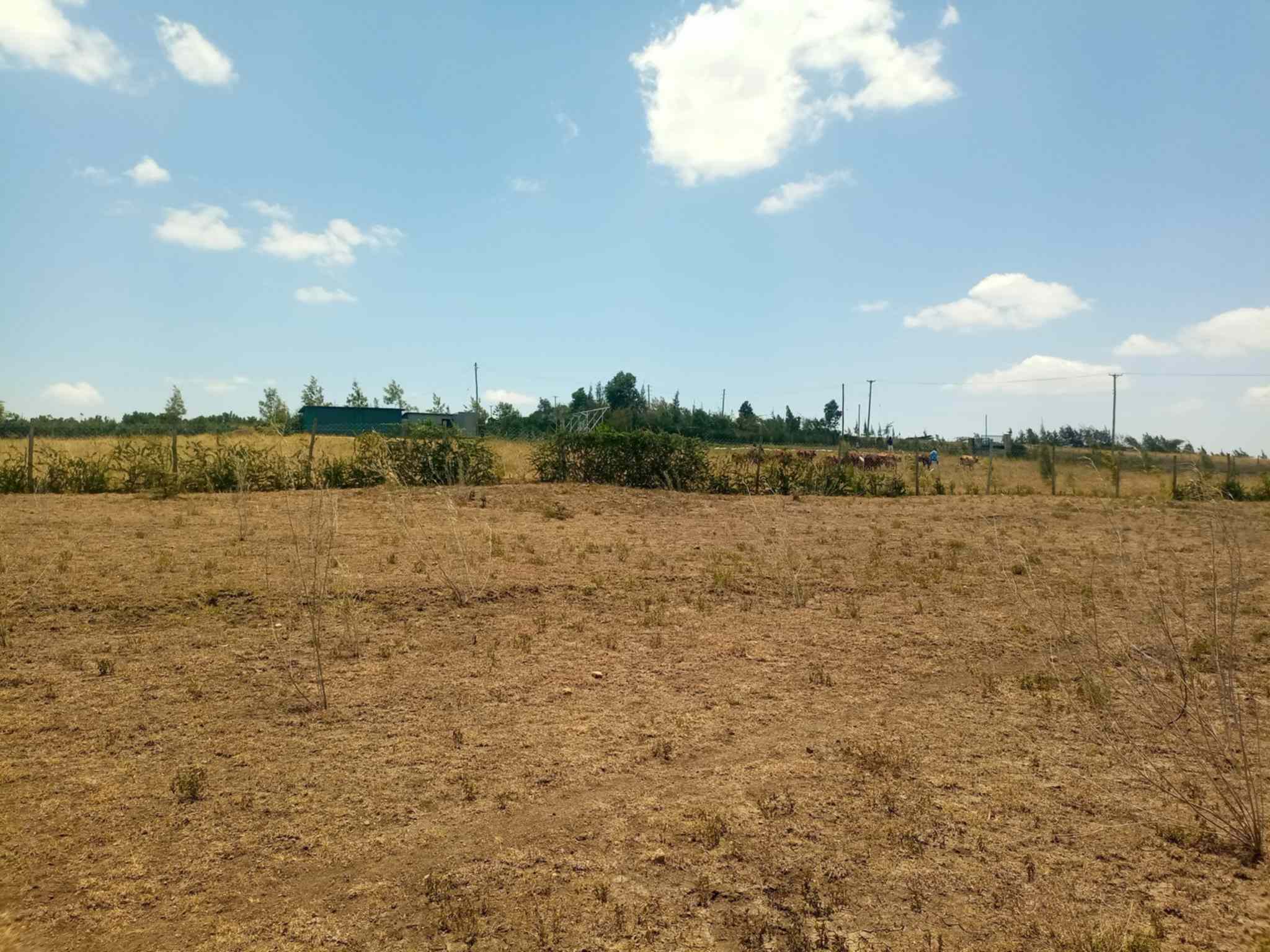 5 acre land for sale in Ngong Kiserian