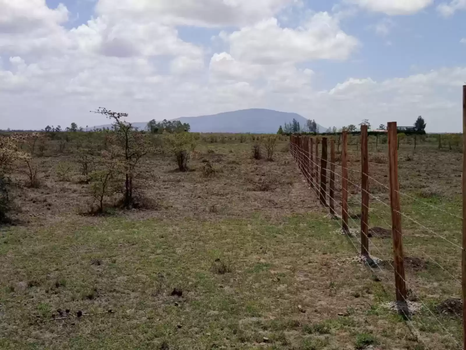 50 Acres of land for sale in Muranga