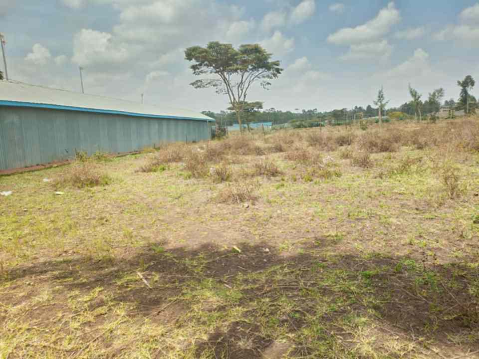 50 by 100 plots for sale in Ngong Kibiko