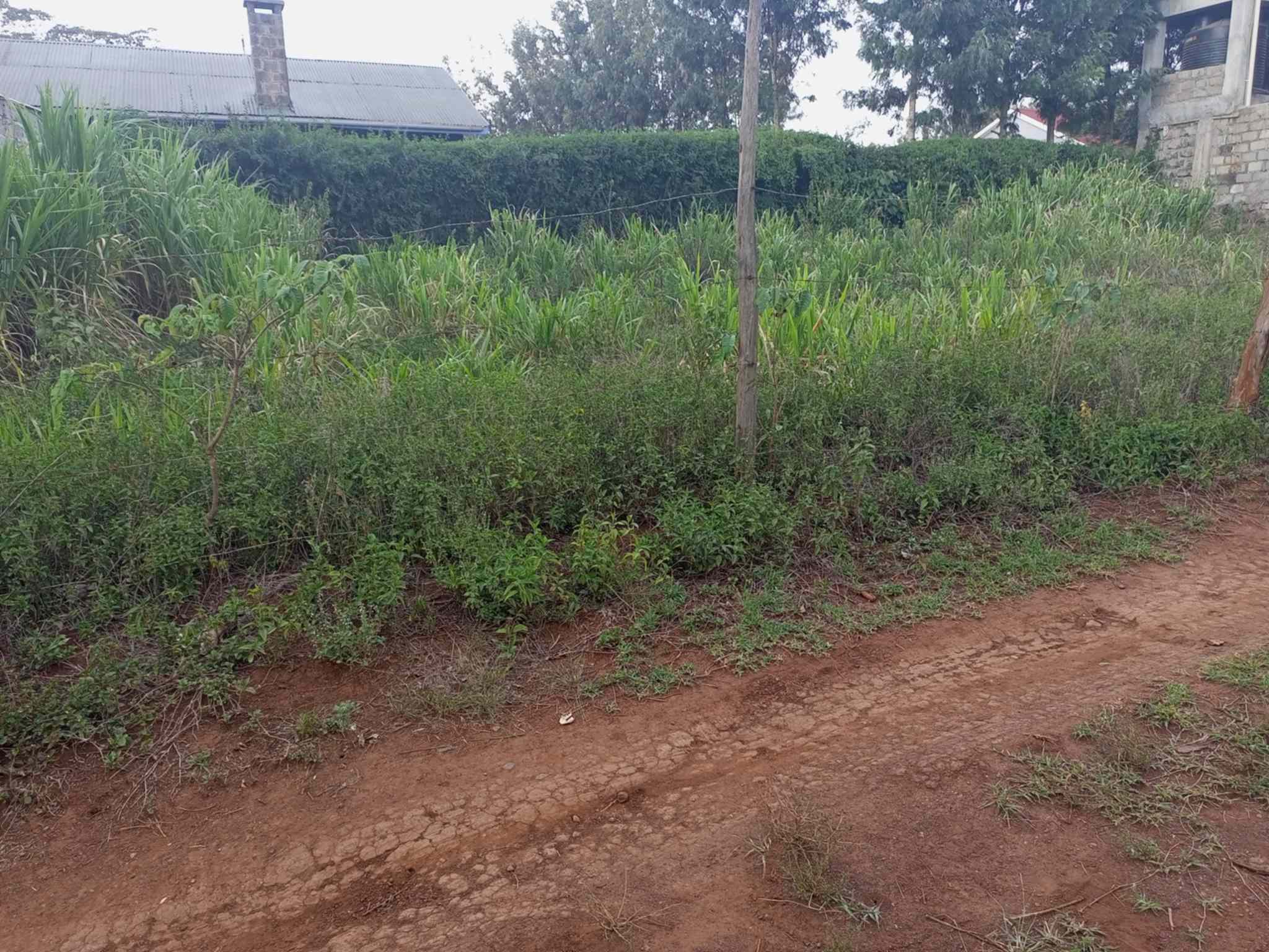 50 by 100 plots for sale in Ngong Kibiko