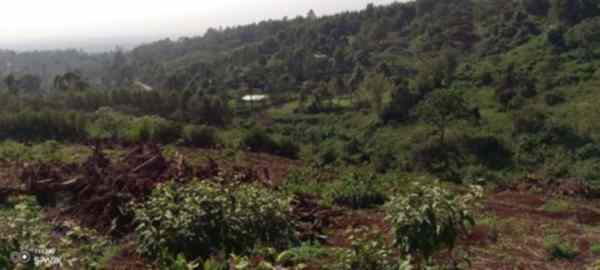 5.5 acre land for lease in Ngong Kahara