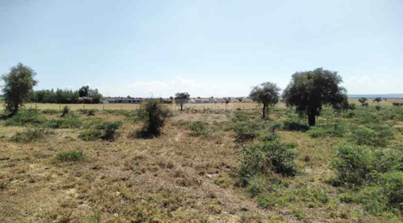 7 acre Land for sale in Isinya