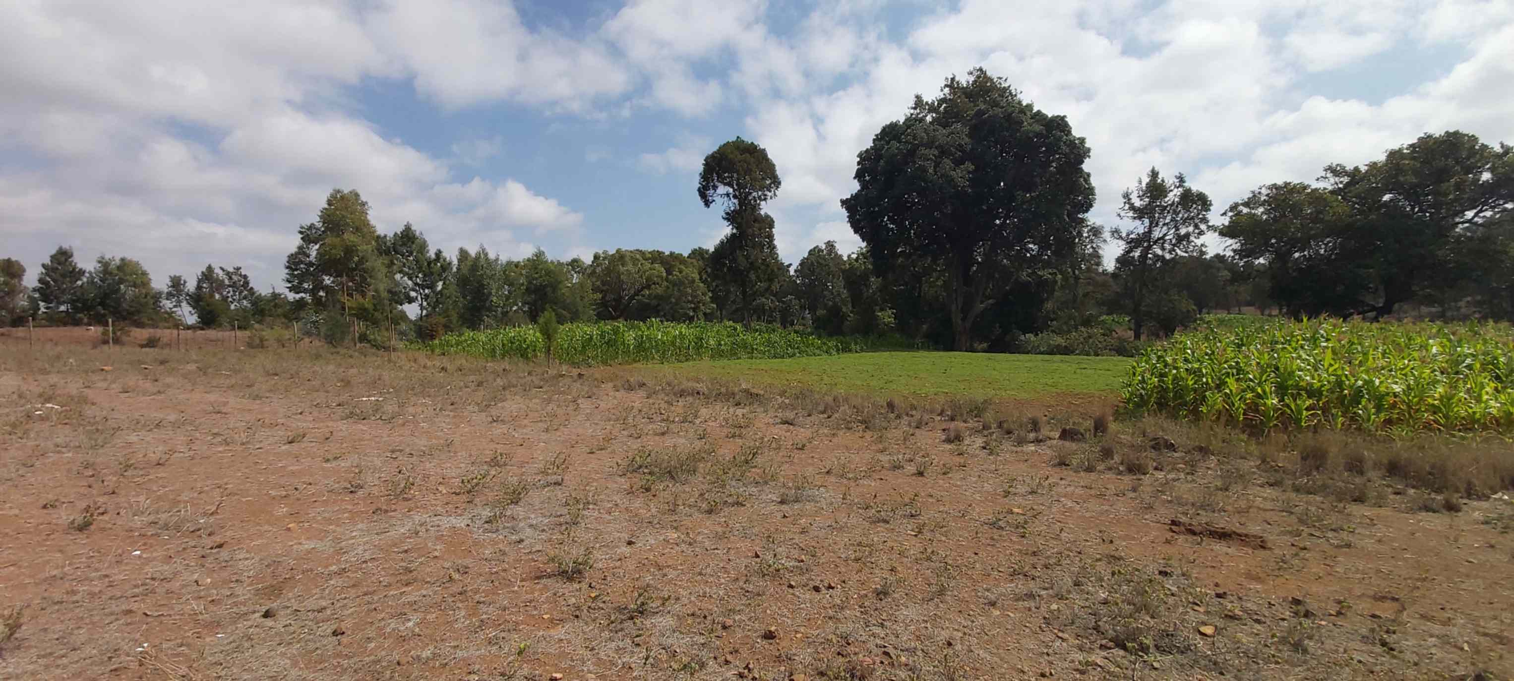 8 acre land for sale in Timau