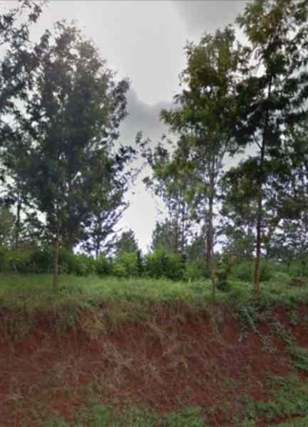 80 acre coffee farm for sale in Thika