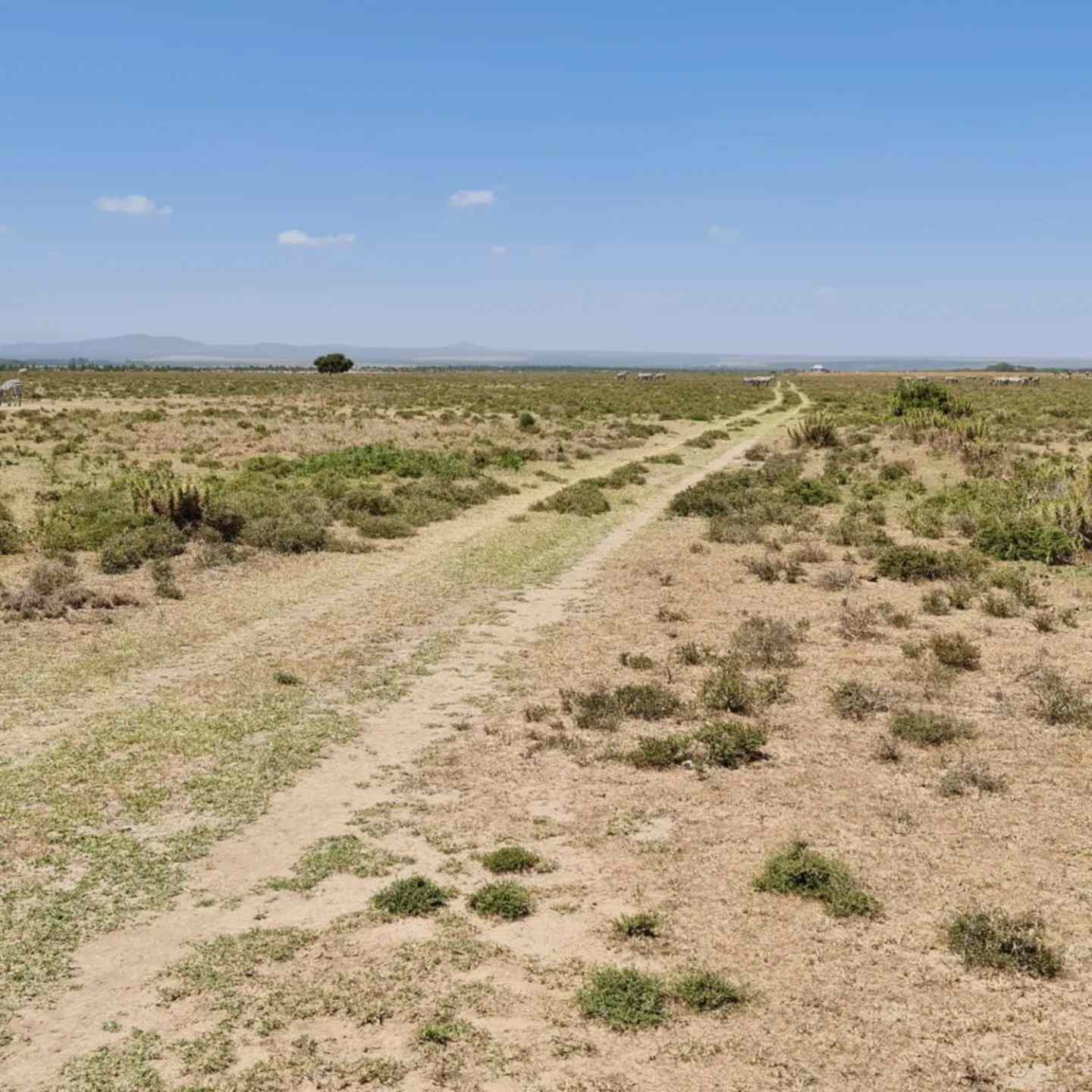 9 and 10 acre land for sale in Nanyuki