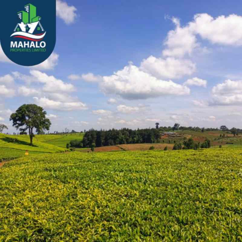 95 acre land for sale in Kiambu Riara ridge