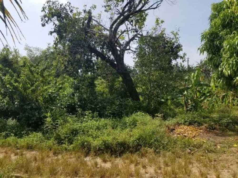 Commercial land for sale in Diani