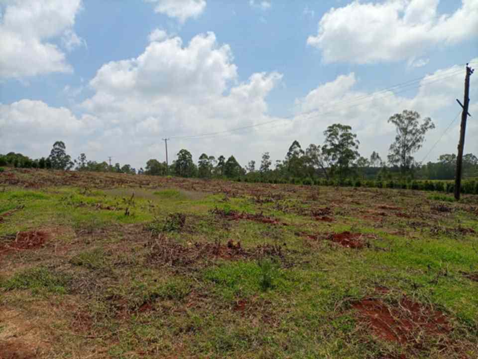 Eight and quatre acre Land for sale in Ruiru North of Tatu City