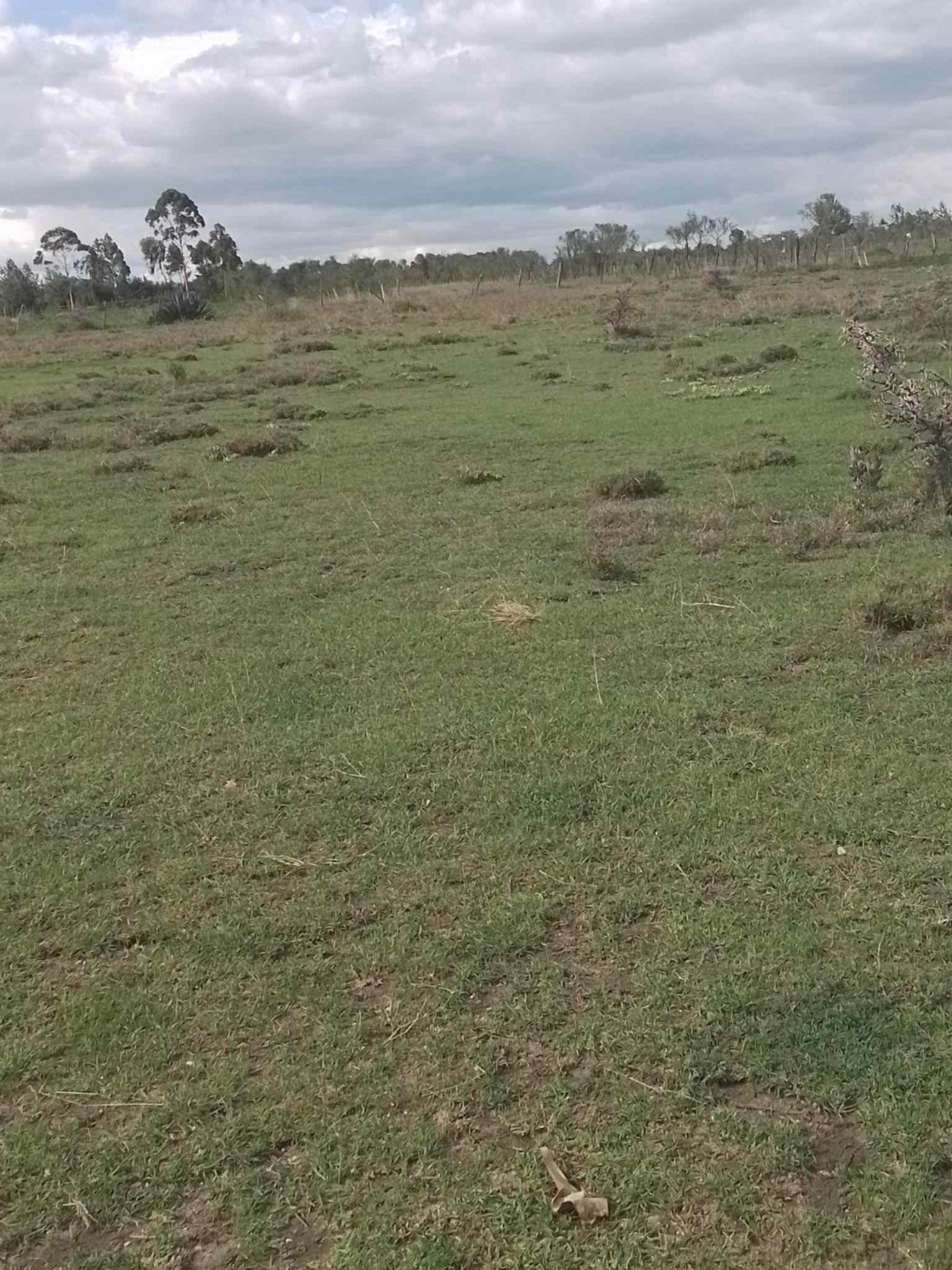 Eighth acre land for sale in Nanyuki Sweetwaters