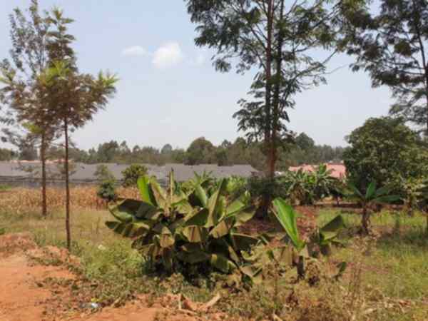 Eighth acre plot for sale along Kenyatta road