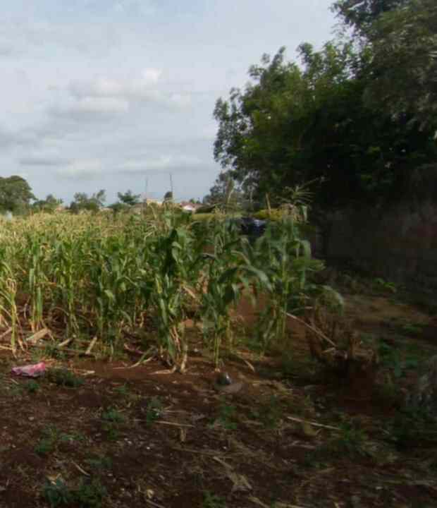 Eighth acre plot for sale in Ruiru Toll