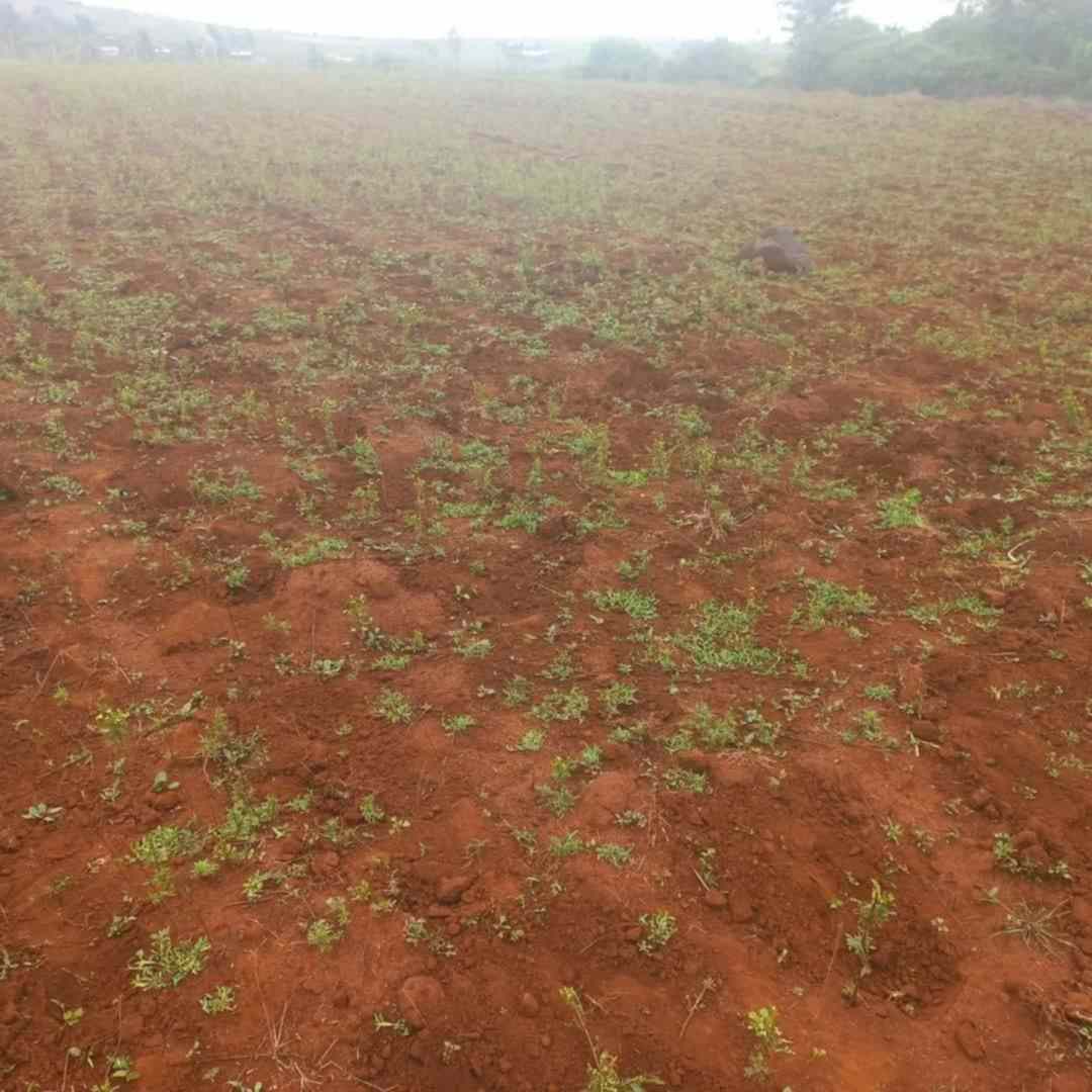 Eighth acre plots for sale in Ngong Kibiko