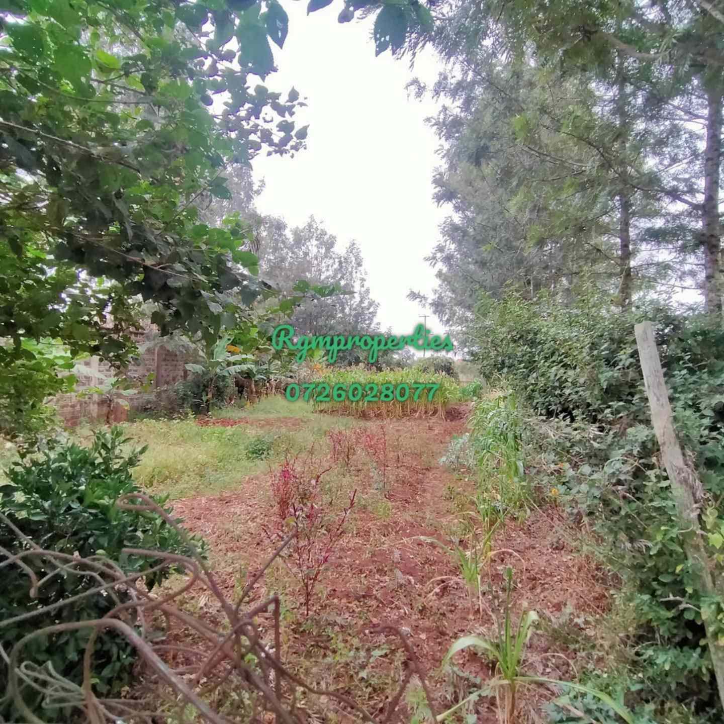 Half acre Land for sale in Karen