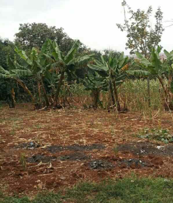 Half acre land for sale in Kasarani