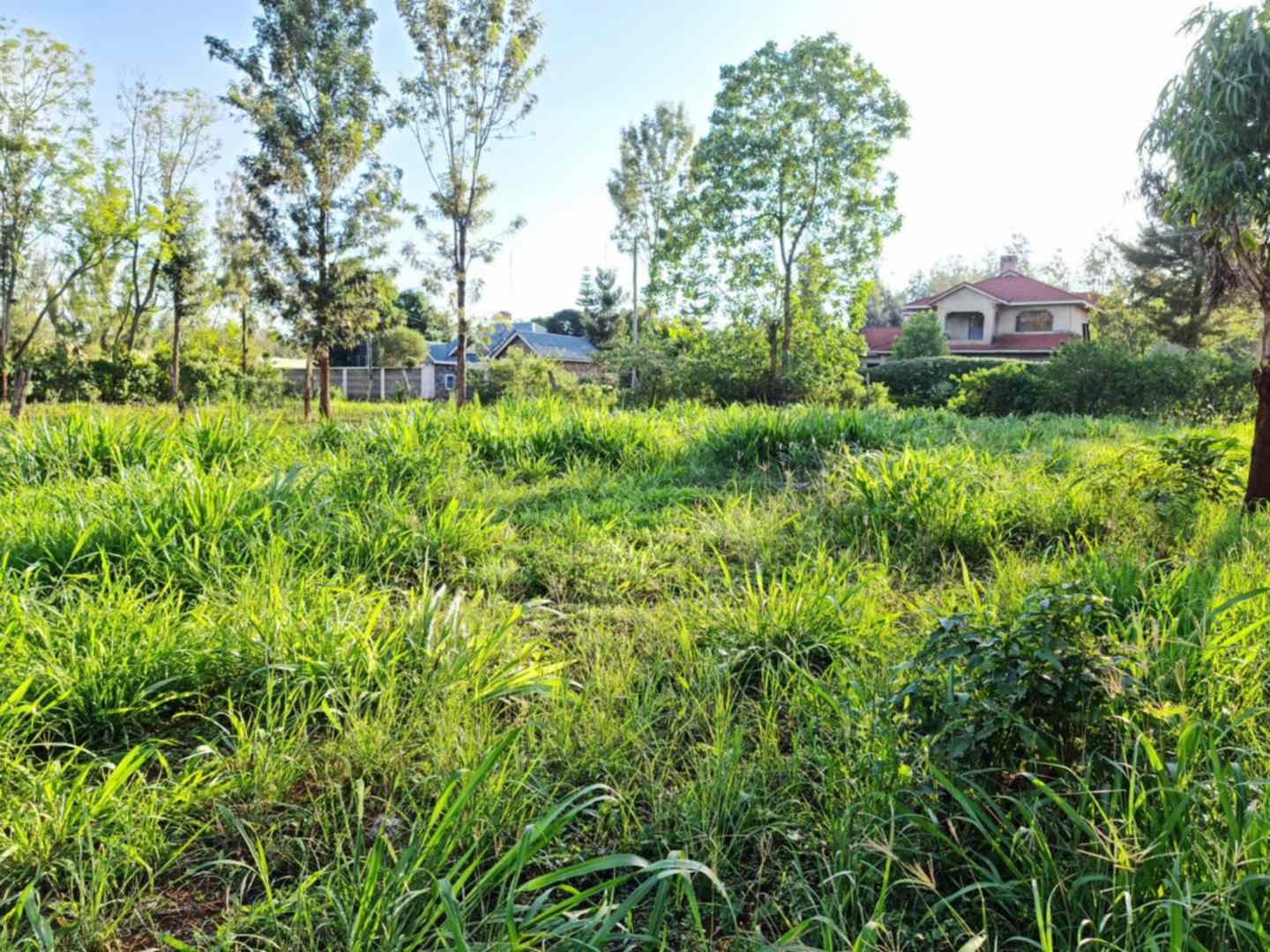 Half acre Land for sale in Kiukenda Kiambu