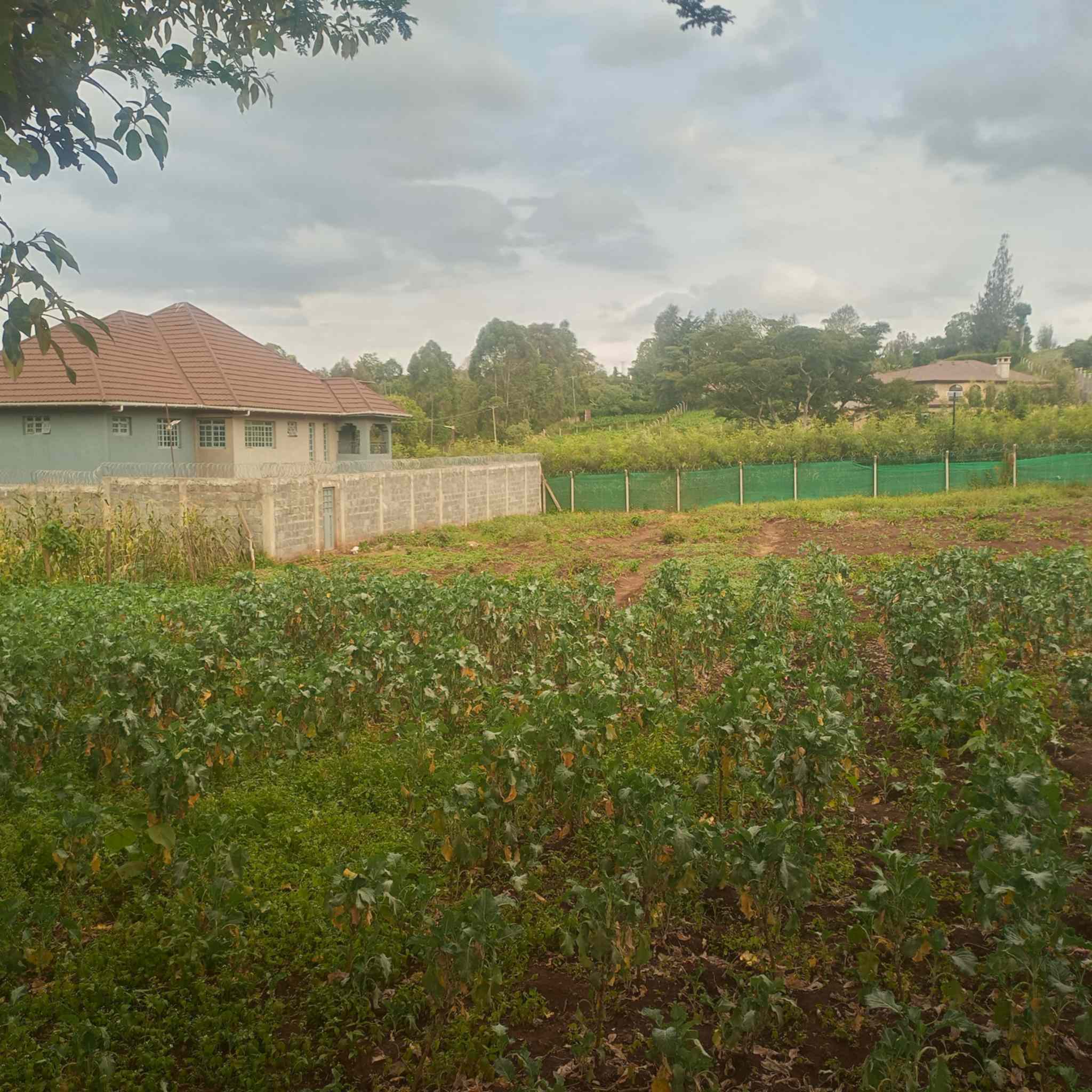 Half acre plot for sale in Ngong Kahara road