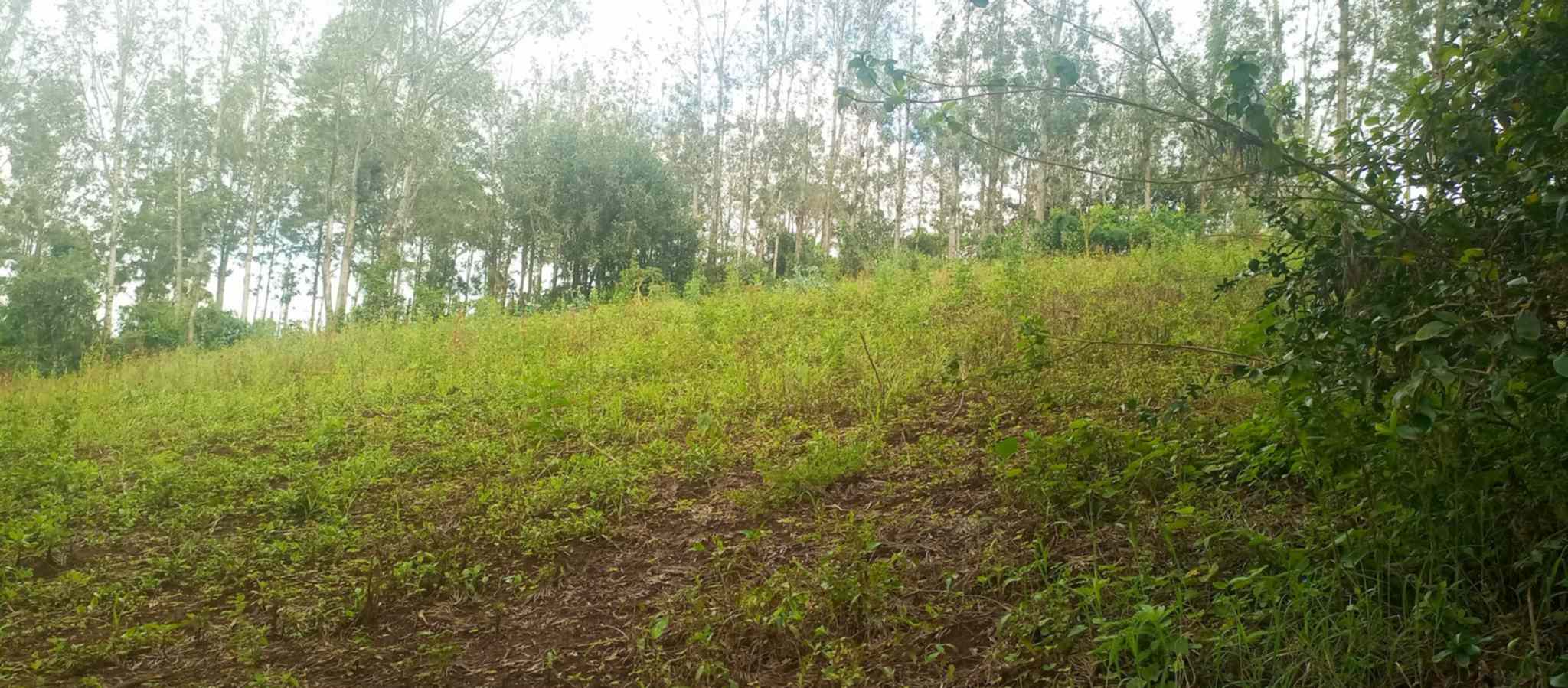 Half acre plot for sale in Ngong Matasia