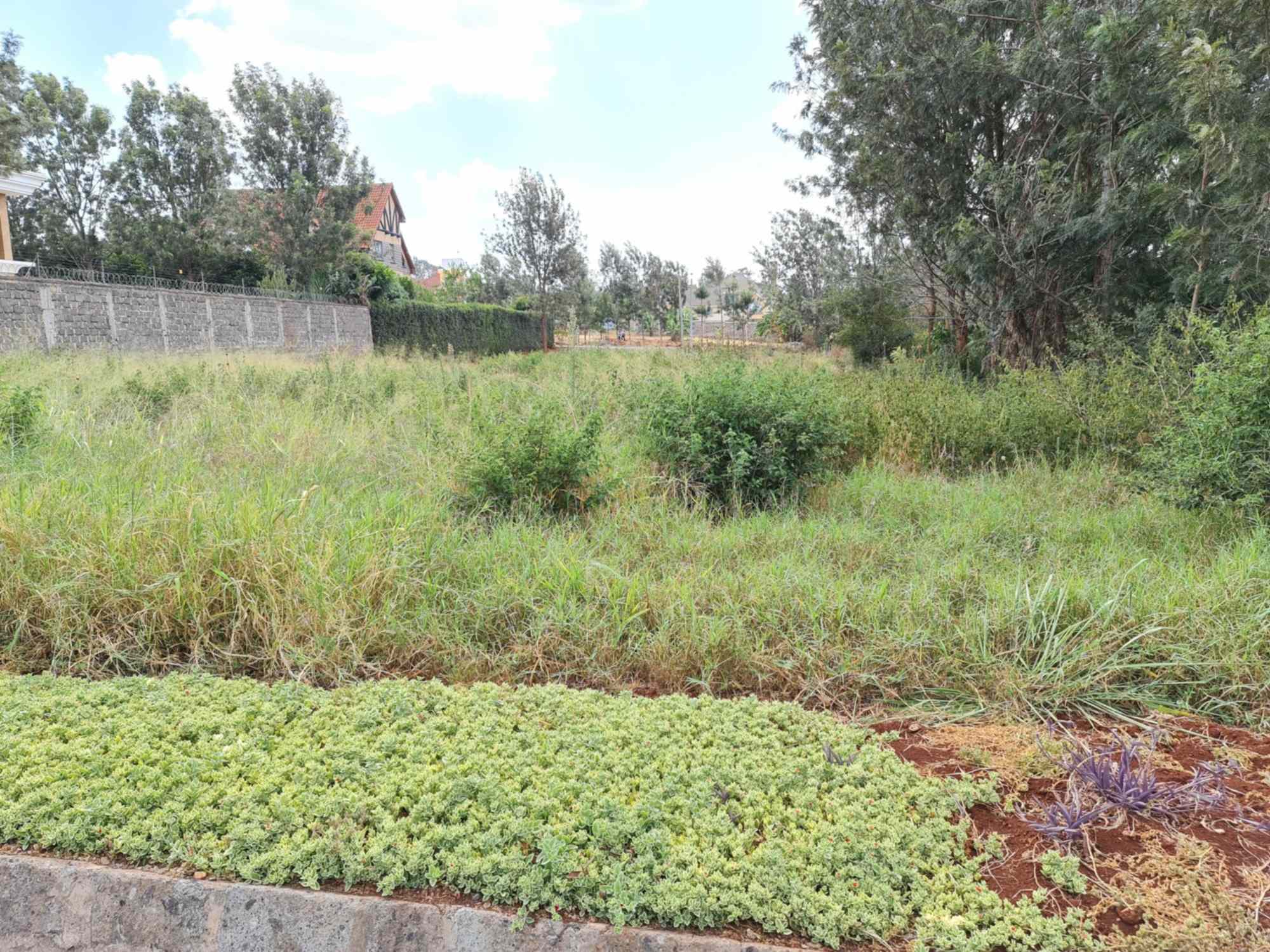 Half acre plots for sale along Kiambu road Mushroom Gardens