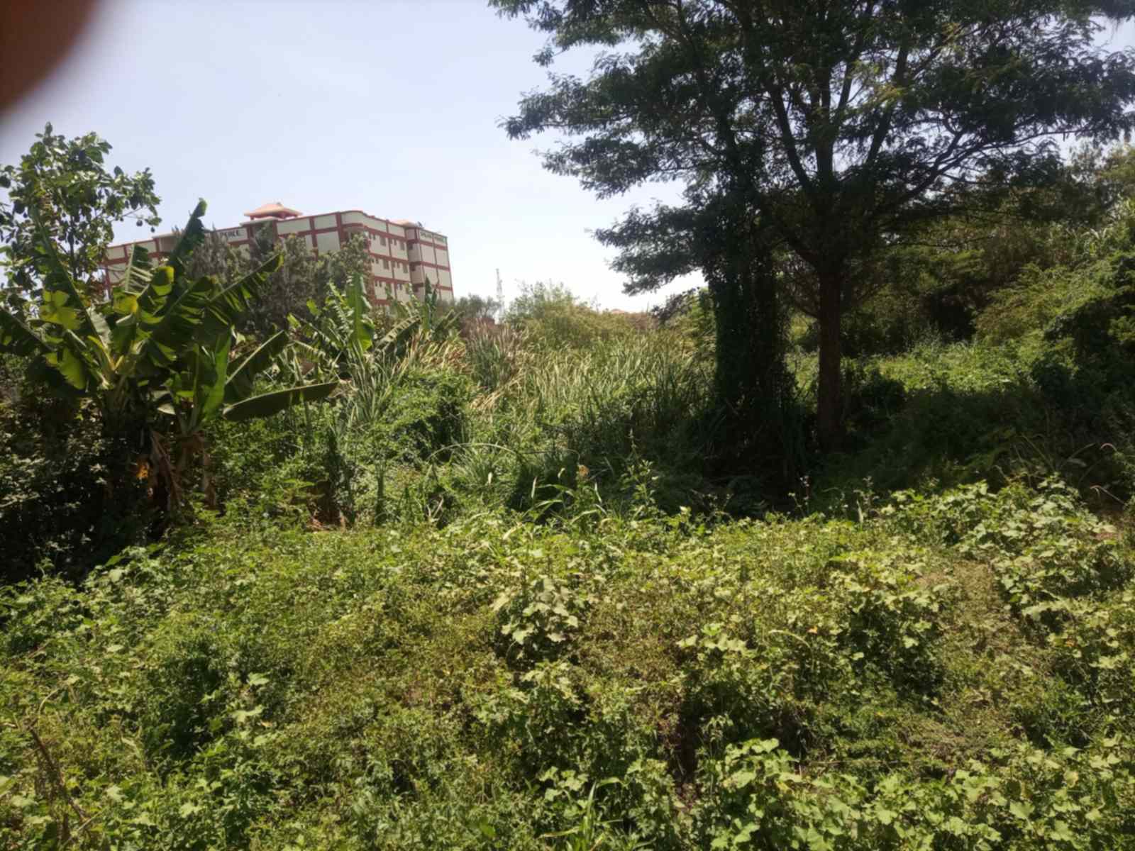 Half an acre land for sale in Juja town
