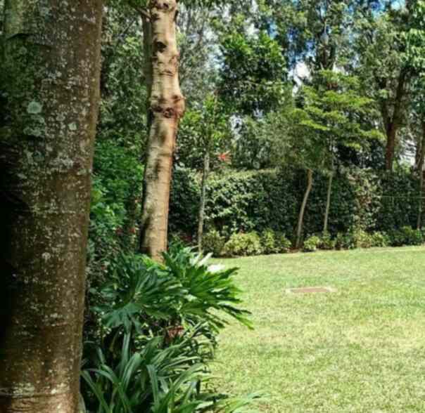 Joint venture land for sale in Karen