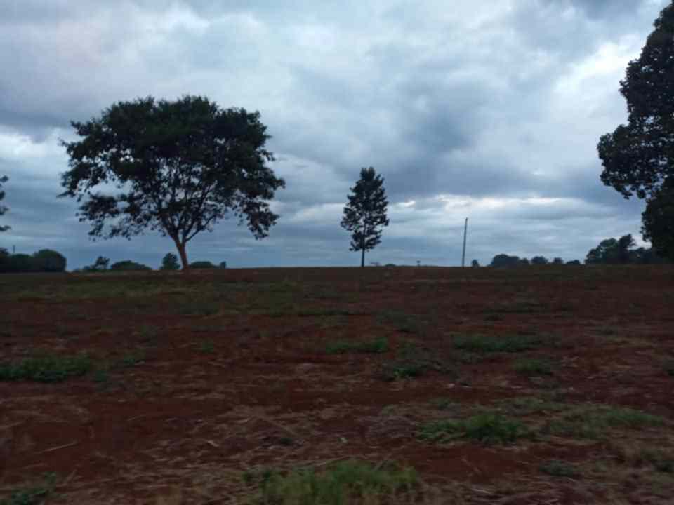 Kenyatta road quatre acre land for sale