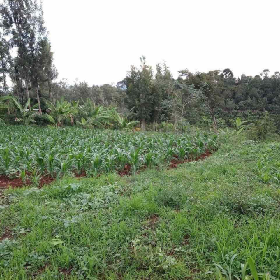 Kiambu Marigi Residential plots for sale