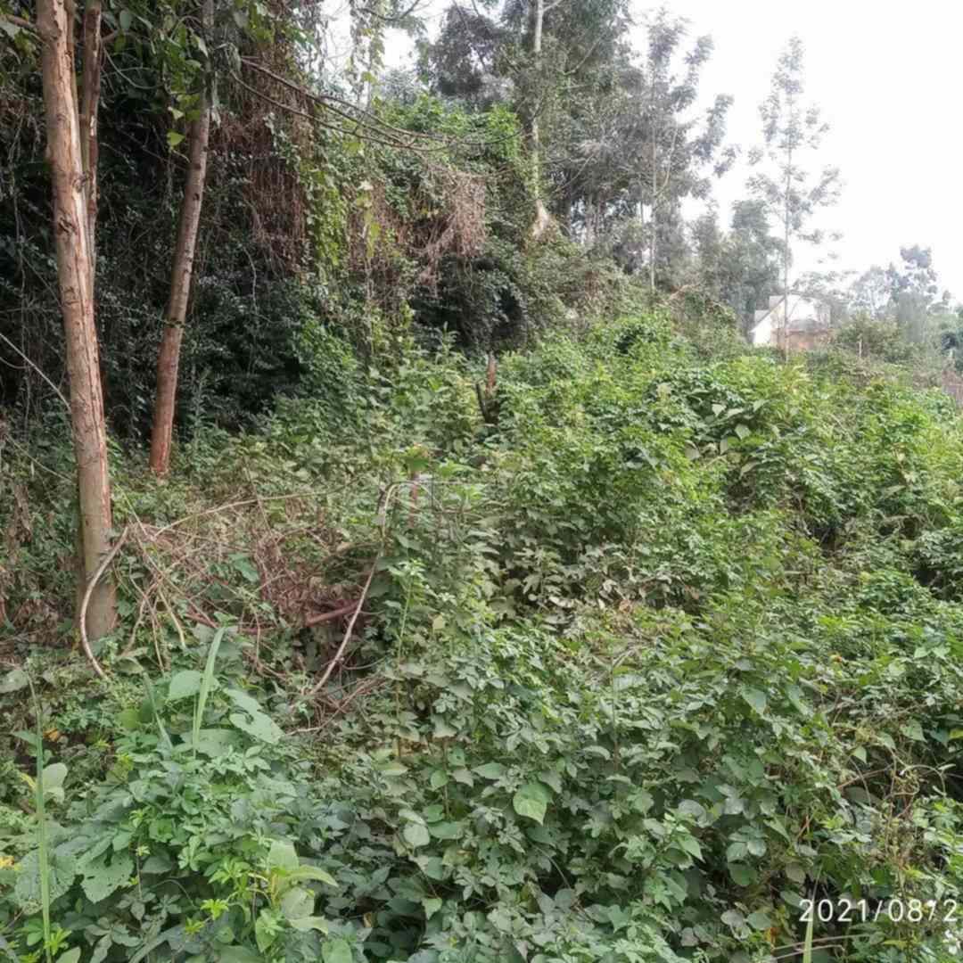 Kiambu road land for sale in Muthithi