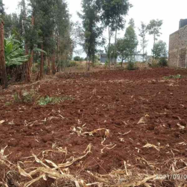 Kiamumbi plots for sale