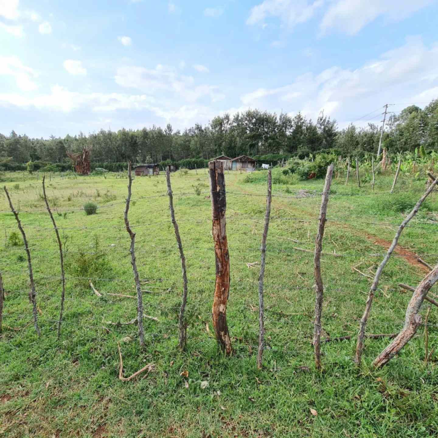 Kikuyu town 1 acre land for sale