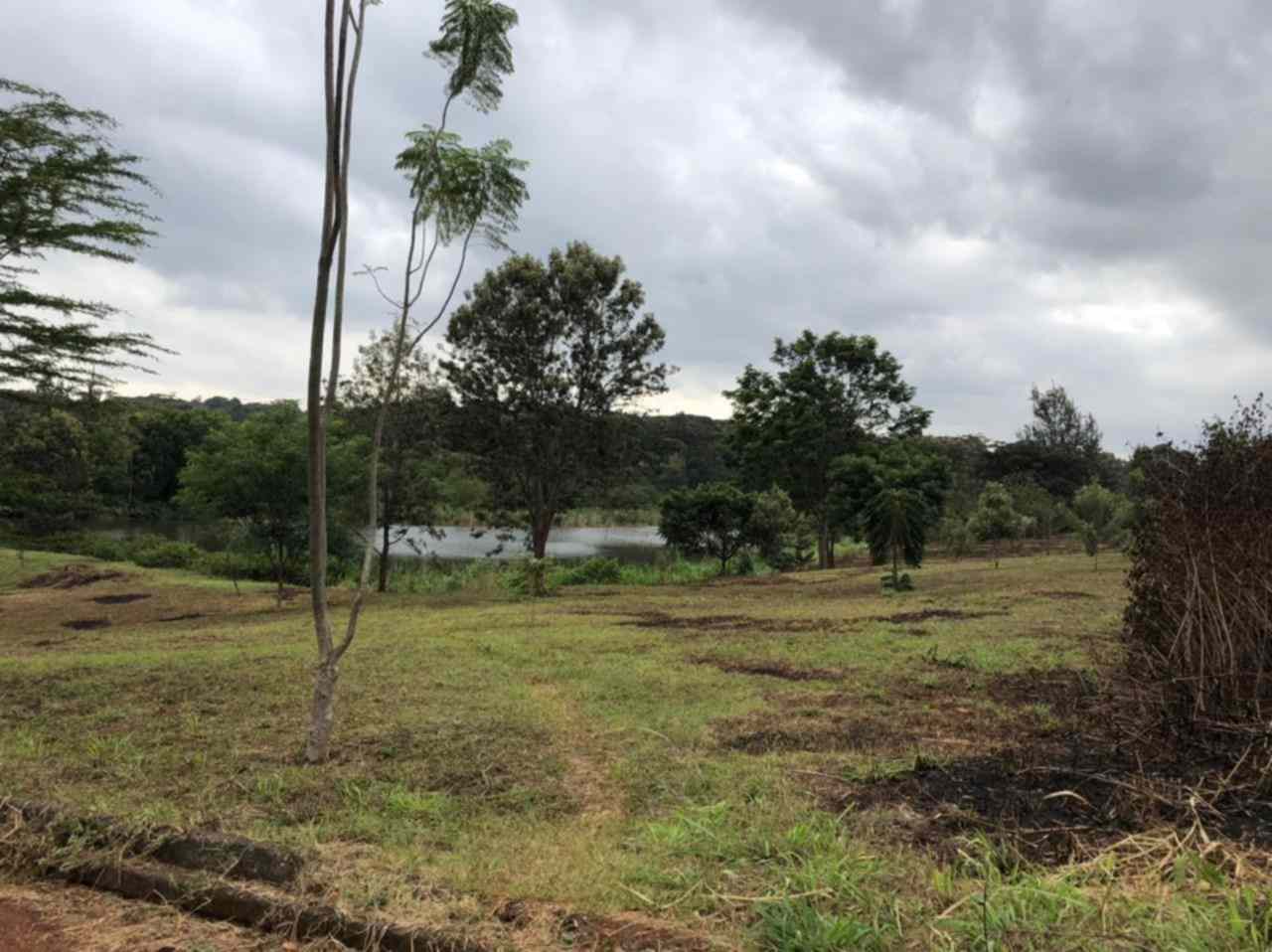 Land along Kiambu road Njathaini for sale