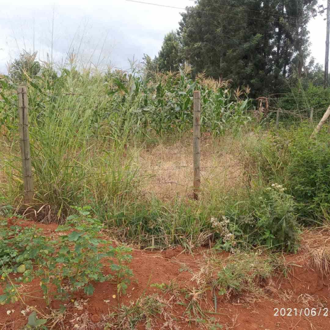 Land for lease in mwea