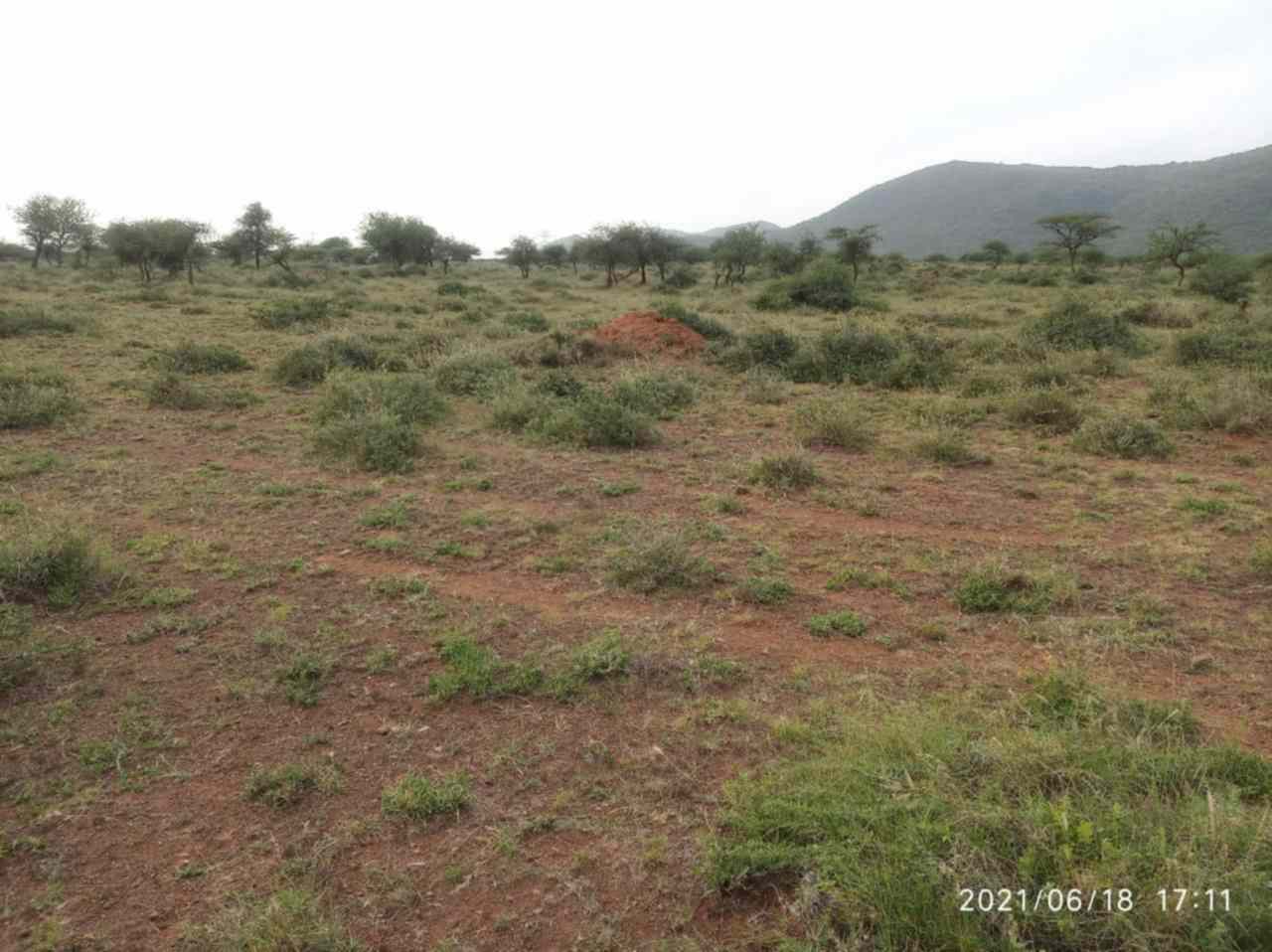 Land for lease in Ngong Suswa