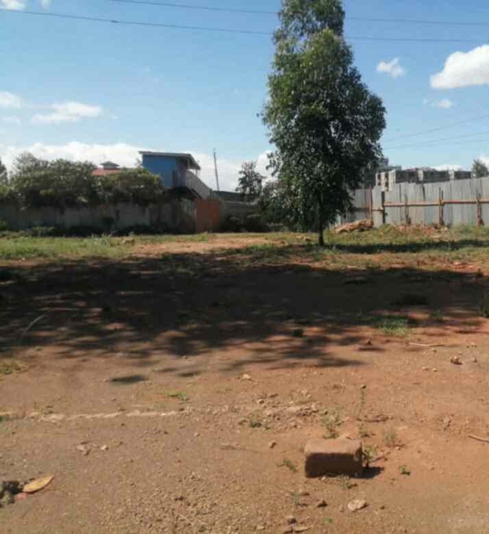 Land for lease in Ruaka town