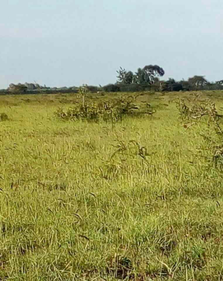 2000 acre Land for lease in Rumuruti Township Laikipia