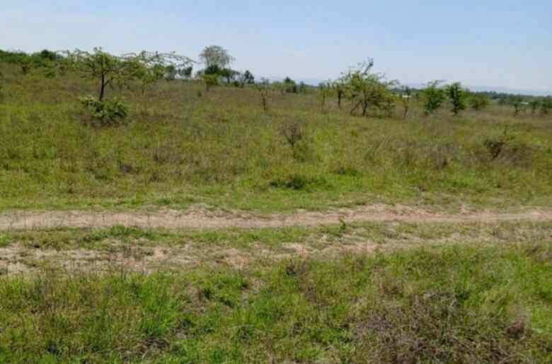 Land for sale along Kangundo road malaa