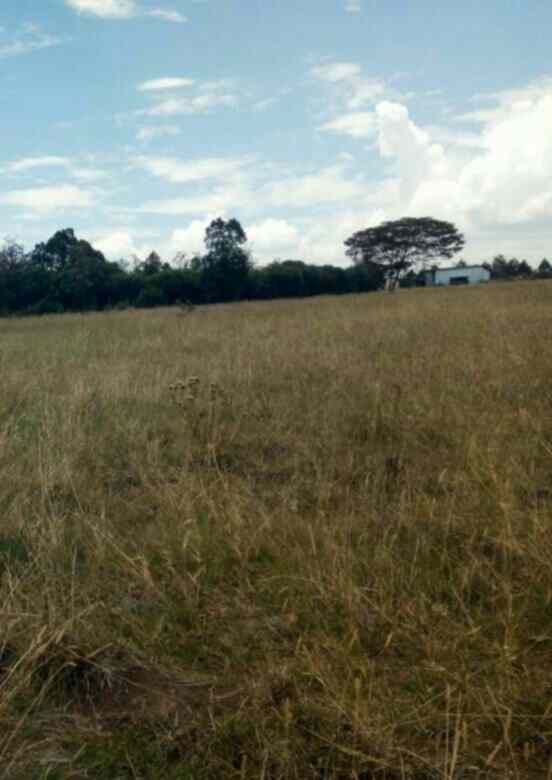 Land for sale in Chaka town Narumoro