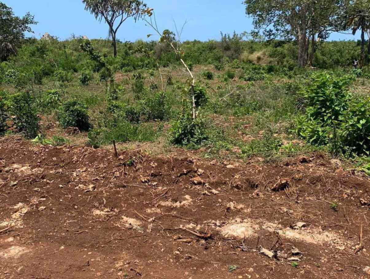 Land for sale in Diani