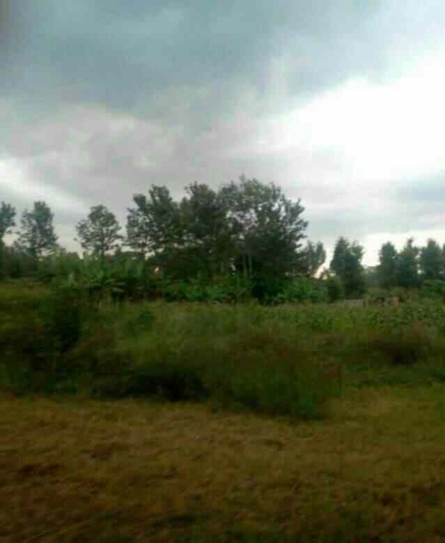 Land for sale in Gathaithi Ikinu in Kiambu