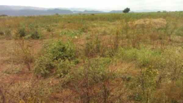 Land for sale in Gilgil Naivasha Nakuru