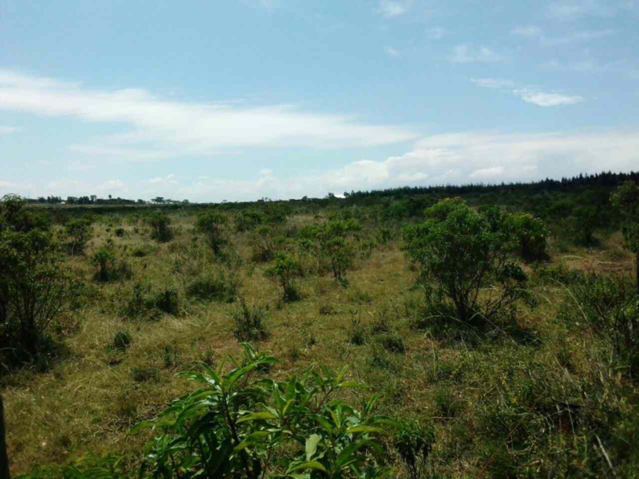 Land for sale in Gilgil Nakuru