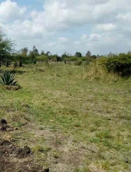 Land for sale in Juja Farm Mwireri