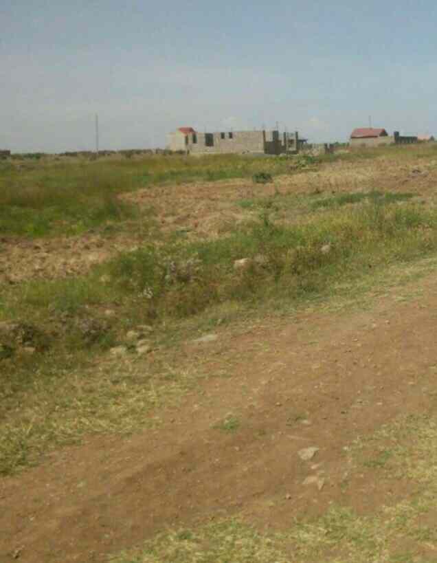 Land for sale in Juja south estate witeithie ruiru