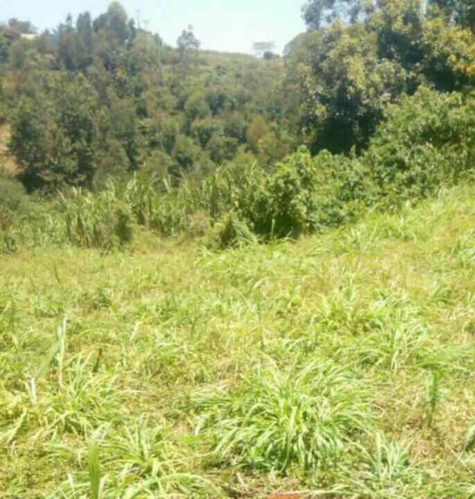 Land for sale in Kamangu Kikuyu