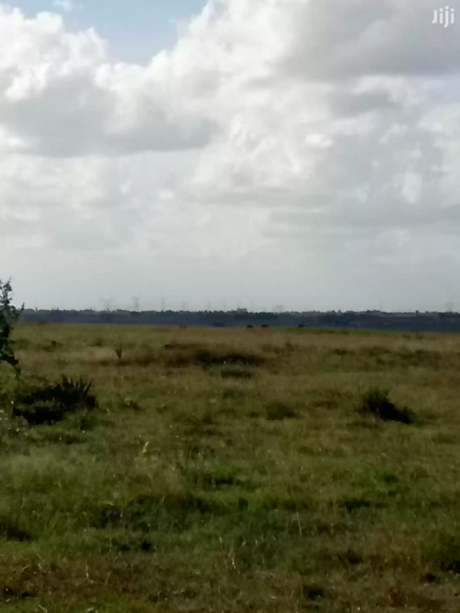 Land for sale in Kamulu Katani