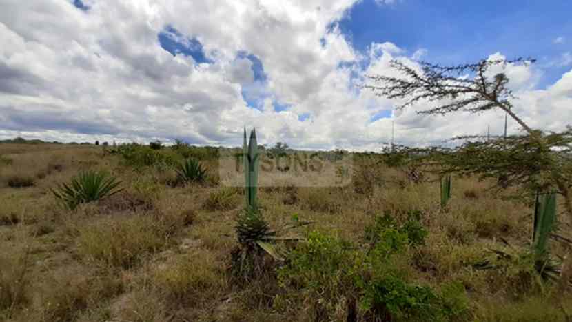 Land for sale in Kananie Machakos Athi River