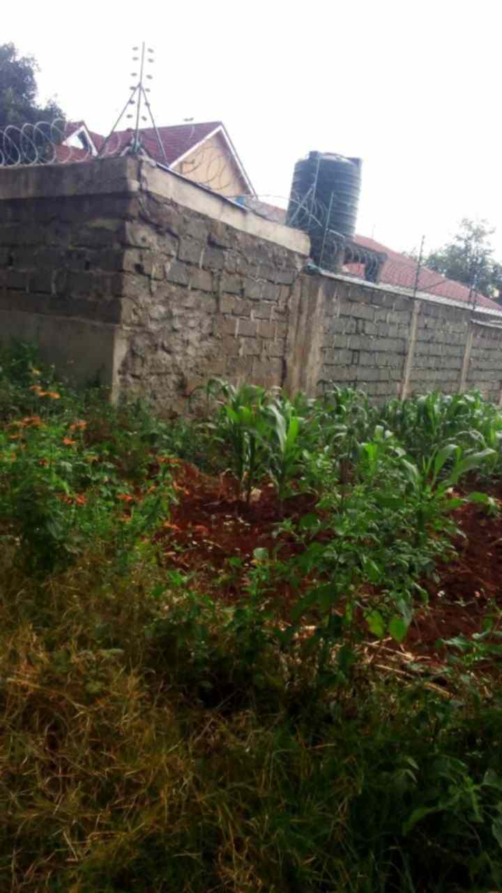 Land for sale in Kanunga Kiambu County